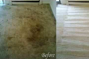 Before and After high traffic carpet cleaning
